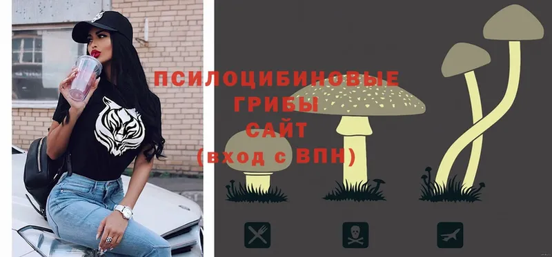 Галлюциногенные грибы Psilocybe  kraken сайт  Всеволожск  где найти  